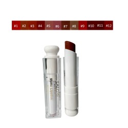 SALOME LABIAL MATTE LIPSTICK