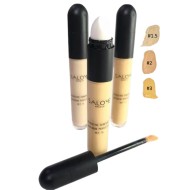 SALOME CORRECTOR+APLICADOR